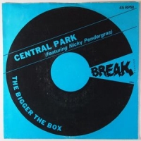 Central Park feat Nicky Pendergrass - the bigger the box