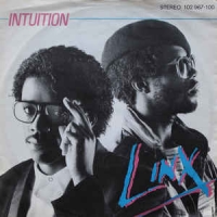 Linx - Intuition 