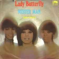 Lady Butterfly - Mister man