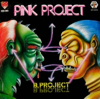 Pink project - B. Project