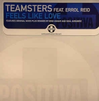 Teamsters feat. Errol Reid - Feels like love