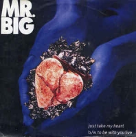 Mr. Big - Just take my heart