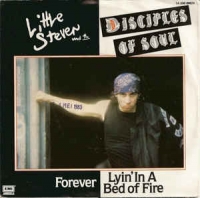 Little Steven and the Disciples of soul  - Forever