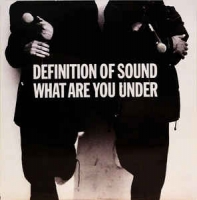 Definition of Sound - What are you under
