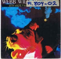 Webb Wilder - Hittin' where it hurts