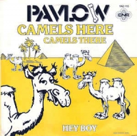 Pavlow - Camels here camels there