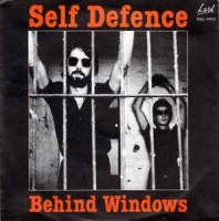 Self Defence - Behind windows