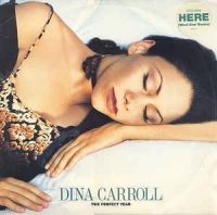 Dina Carroll - The perfect year