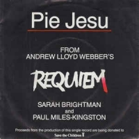 Sarah Brightman & Paul Miles-Kingston ‎– Pie Jesu