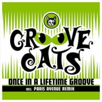 Groove Cats - Once in a lifetime groove