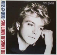 David Cassidy -  She knows all about boys