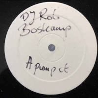 DJ Rob Boskamp ‎– Pump It!