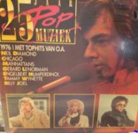 Various - 25 jaar popmuziek 1976