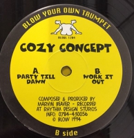 Cozy Concept - Party till dawn
