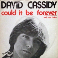 David Cassidy - Could it be forever