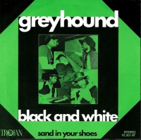 Greyhound - Black and white