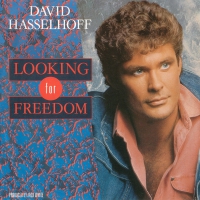 David Hasselhoff - Looking for freedom