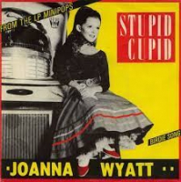 Joanna Wyat - Stupid cupid