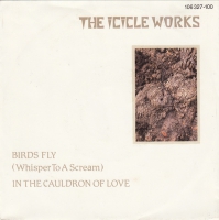 The Icicle Works - Birds fly