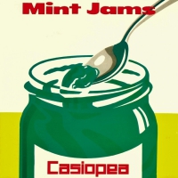 Casiopea - Mint jams