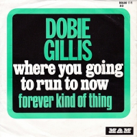 Dobie Gillis - Where you going to run to now