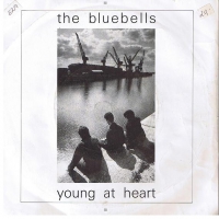 The Bluebells - Young at heart