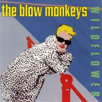 The Blow Monkeys - Wildflower