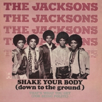 The Jacksons - Shake your body