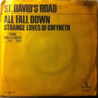 St. David's Road - All fall down