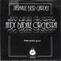 Andy Badale Orchestra - Nashville beer garden