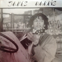 James Harris - Never had a love like this