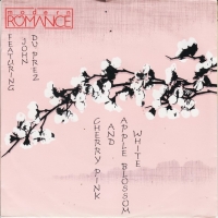 Modern Romance Featuring John Du Prez – Cherry Pink And Apple Blossom White