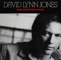 David Lynn Jones - Hard times on easy street