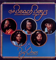The Beach Boys - 15 big ones