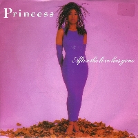 Princess - After the love has gone