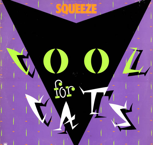 Squeeze - Cool for cats